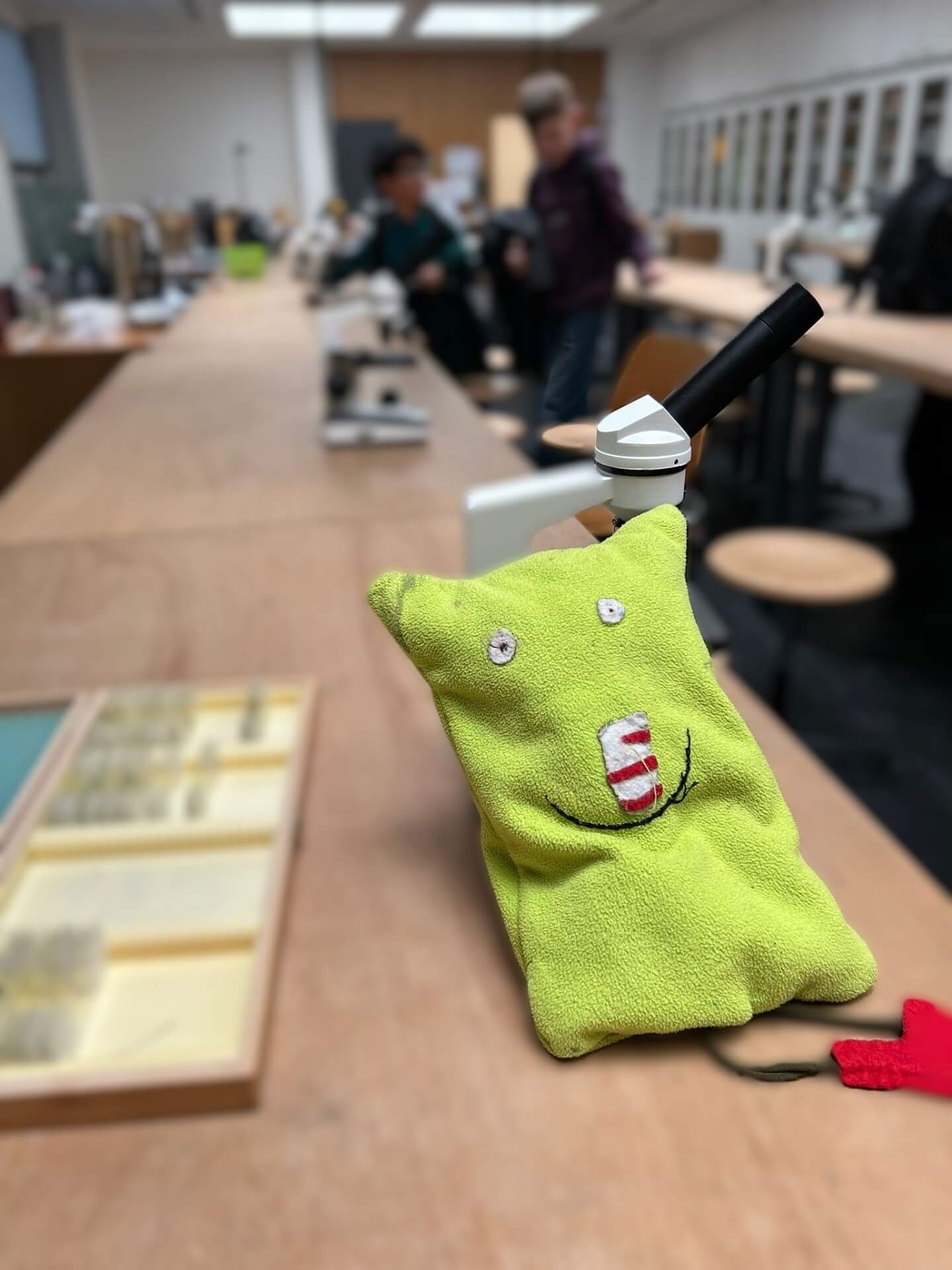 Stoffpuppe das kleine Wir sitzt vor einem Mikroskop